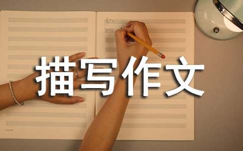 篮球教练训练总结心得体会_0